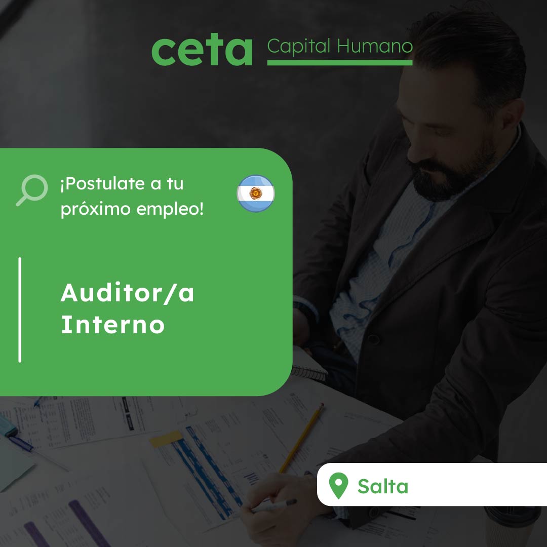 Auditor/a interno